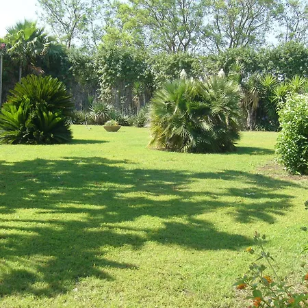 Cuore Di Palme 4*