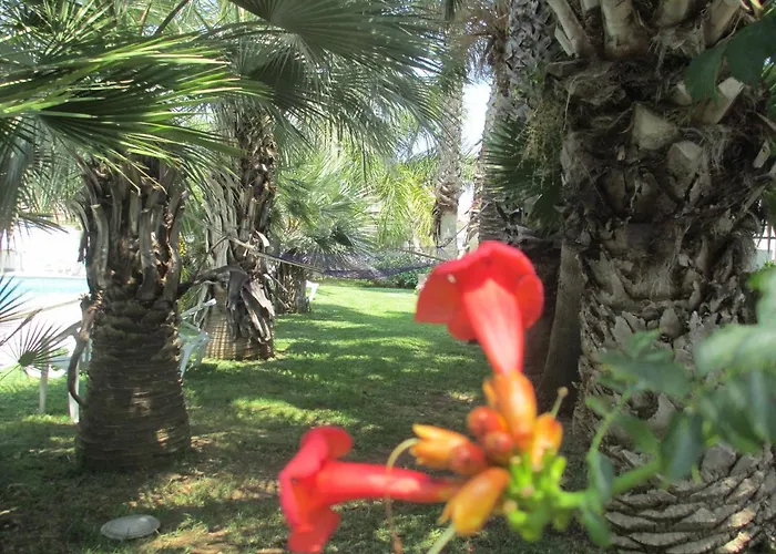 Cuore Di Palme 4*