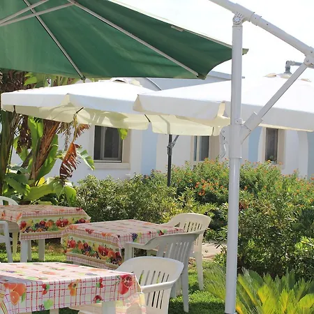 Cuore Di Palme Floridia