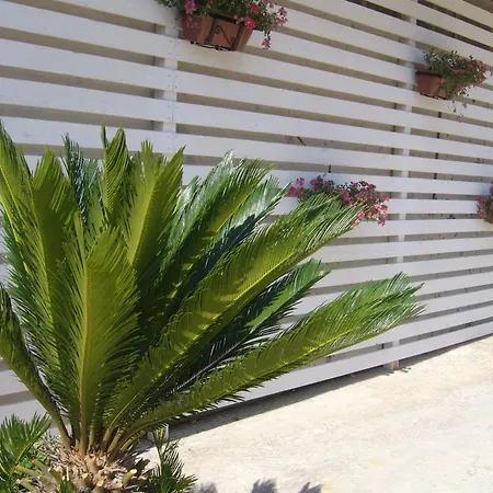 Cuore Di Palme 4* Floridia