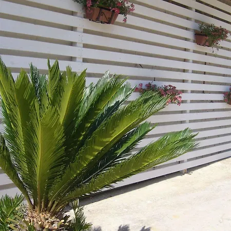 Cuore Di Palme 3* Floridia