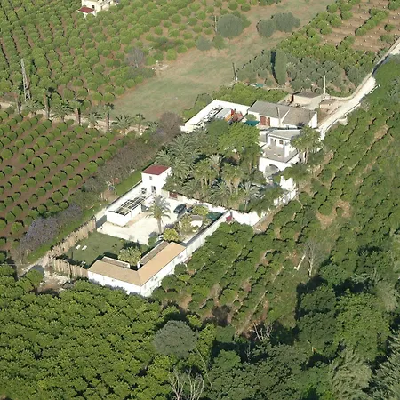 Cuore Di Palme Floridia