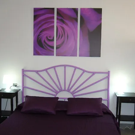 Cuore Di Palme 3*