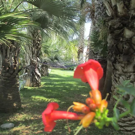Cuore Di Palme 3*